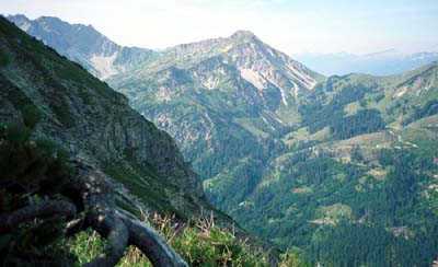 Nebelhorn und Entschenkopf.